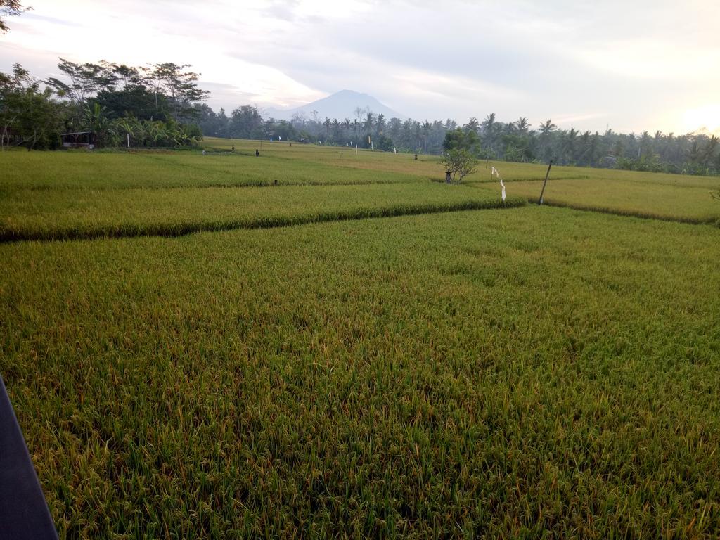 Putra Guest House อูบุด ภายนอก รูปภาพ
